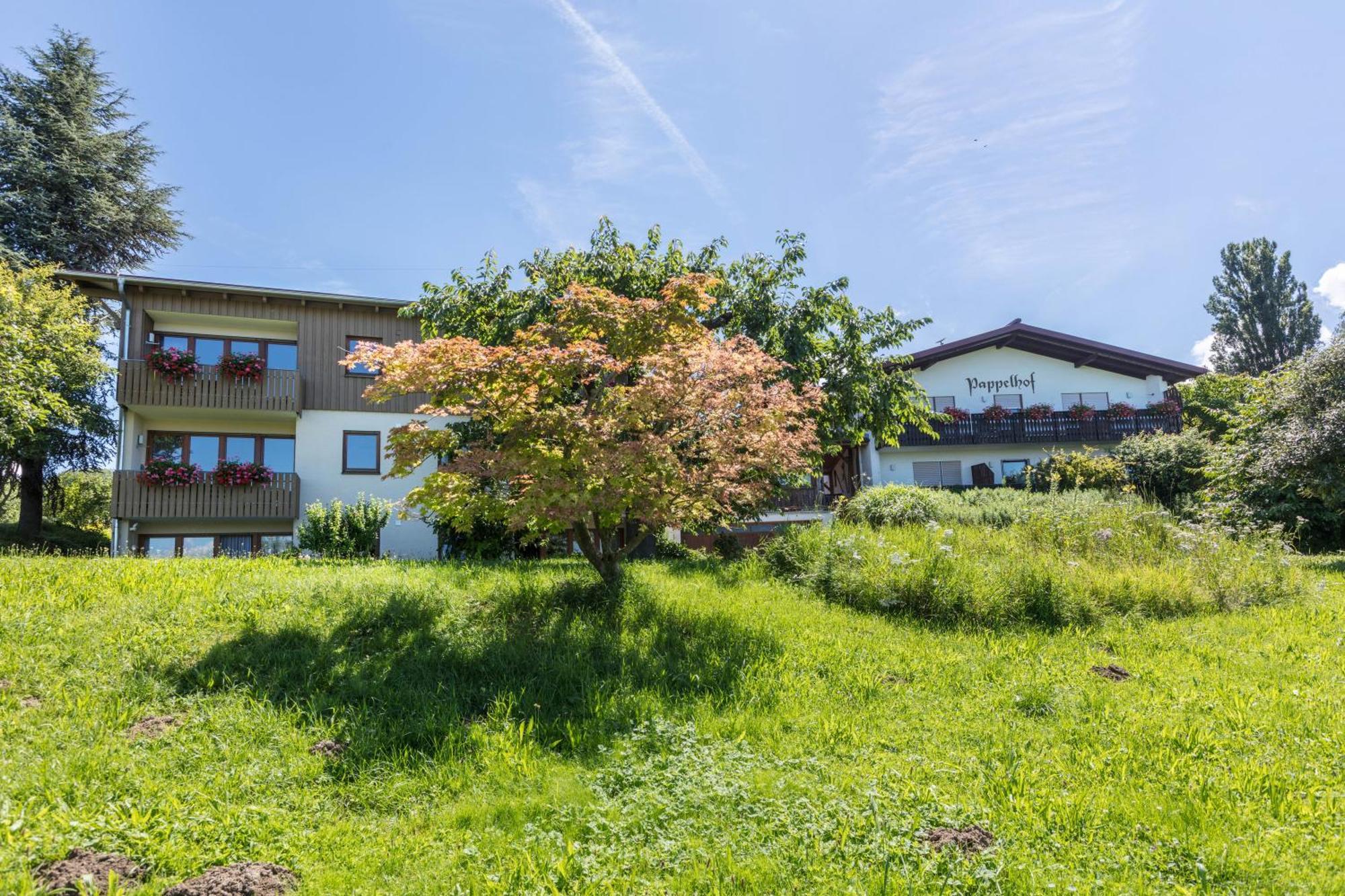 Pappelhof Apartman Bad Bellingen Kültér fotó