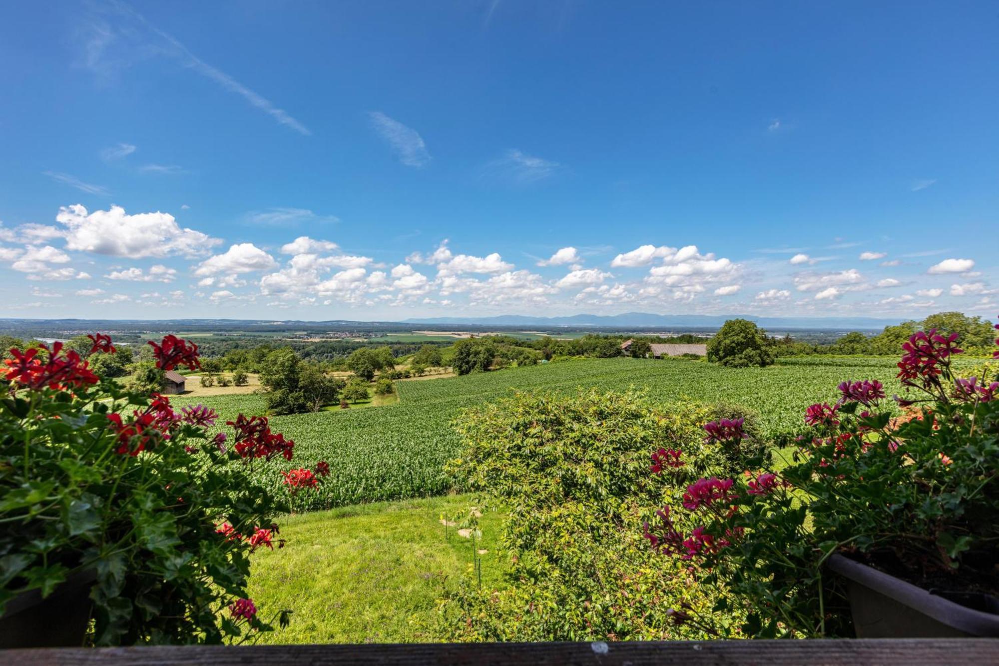 Pappelhof Apartman Bad Bellingen Kültér fotó
