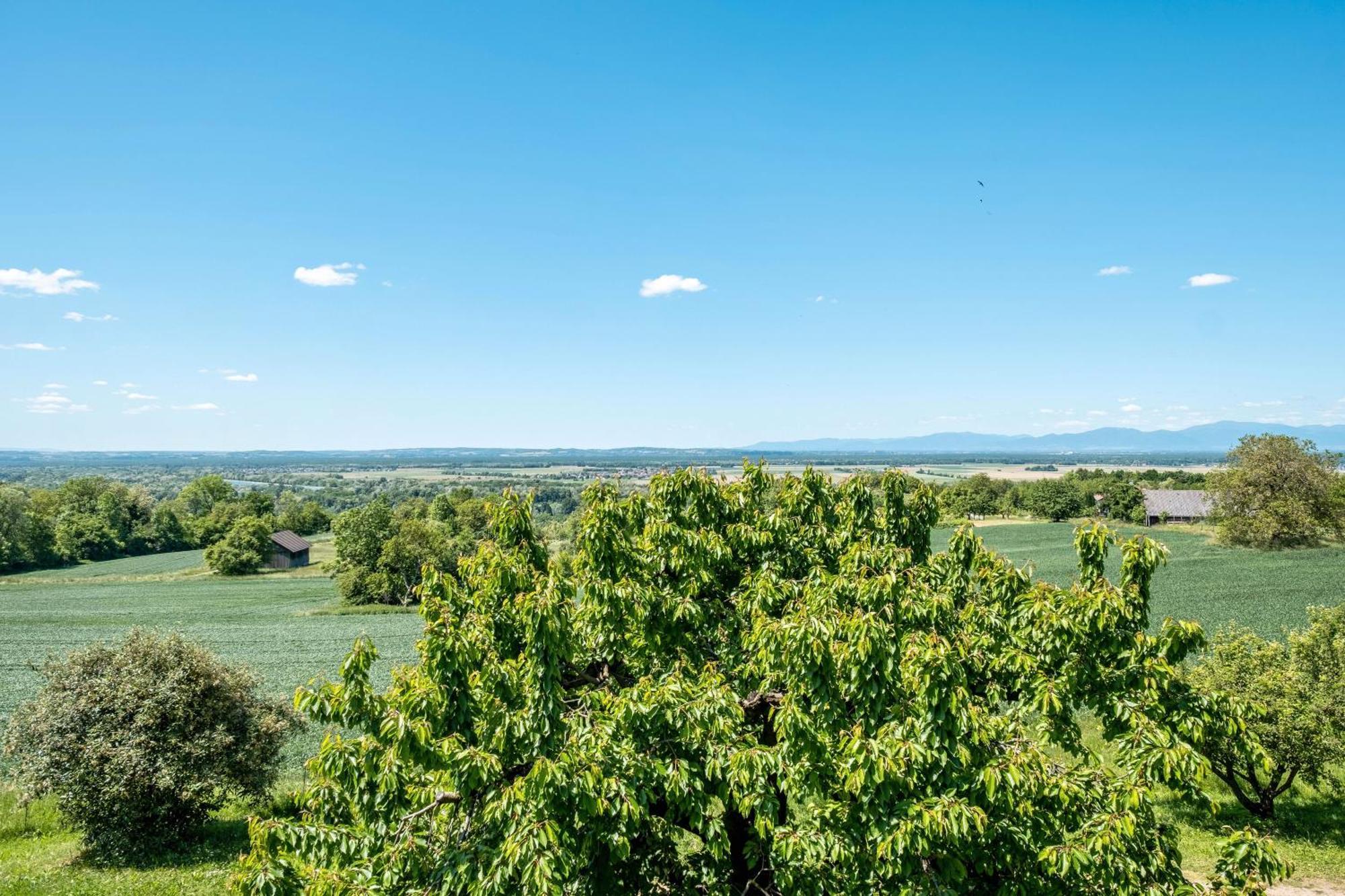 Pappelhof Apartman Bad Bellingen Kültér fotó