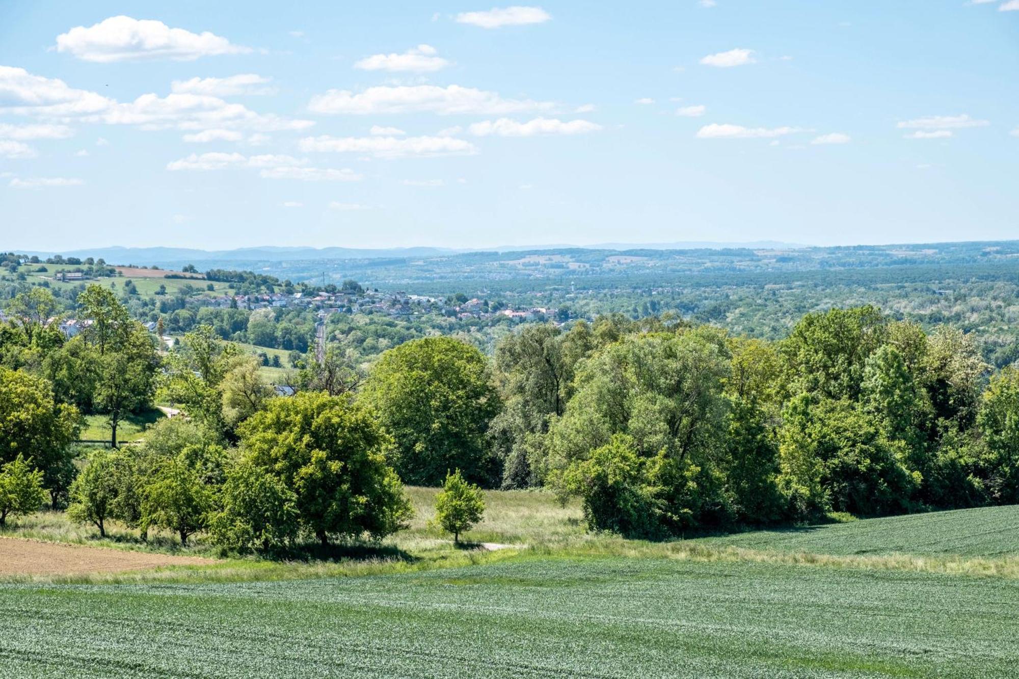 Pappelhof Apartman Bad Bellingen Kültér fotó